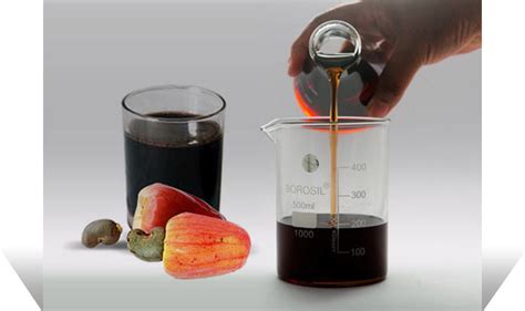  Cashew Nut Shell Liquid: A Multifaceted Wonder for Bio-Based Resins and Sustainable Coatings!